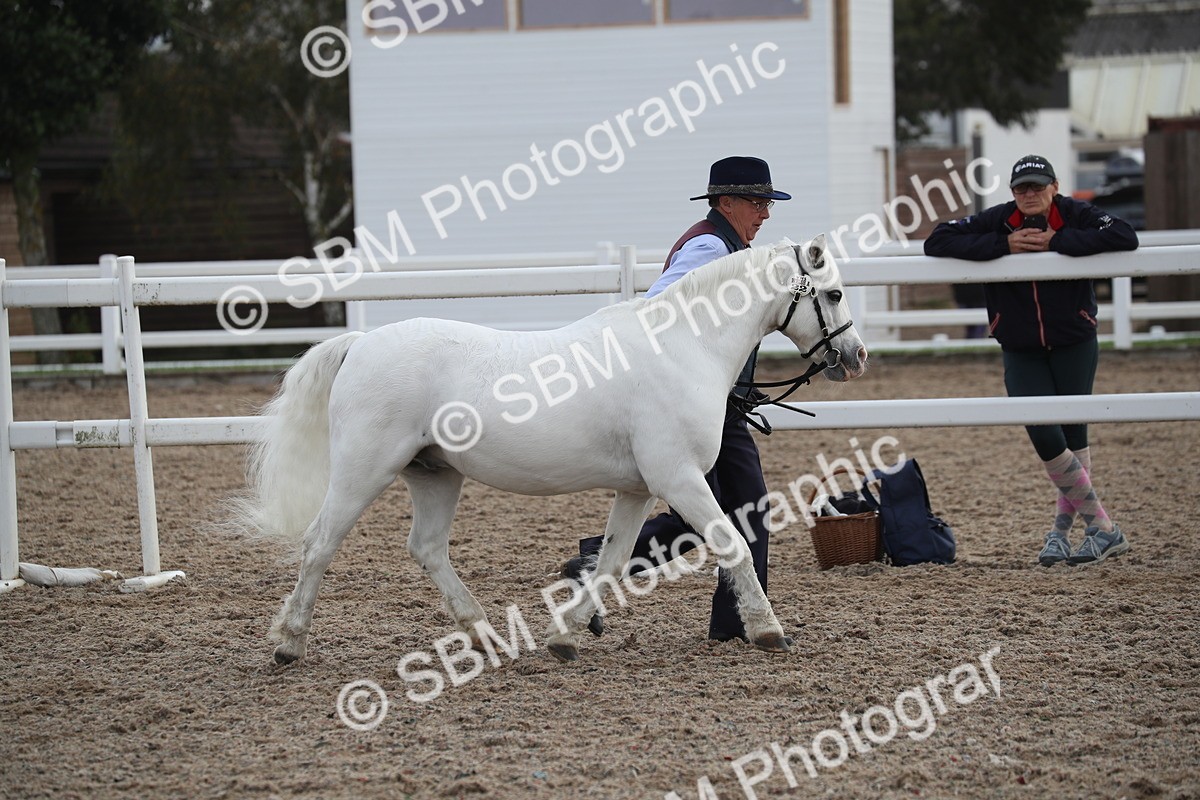 SBM_23114 - Class 605 - 2025 Area - IH Veteran