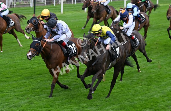 200825-013 Trefor - Race 1 1.50pm Hong Kong Jockey Club World Pool Handicap