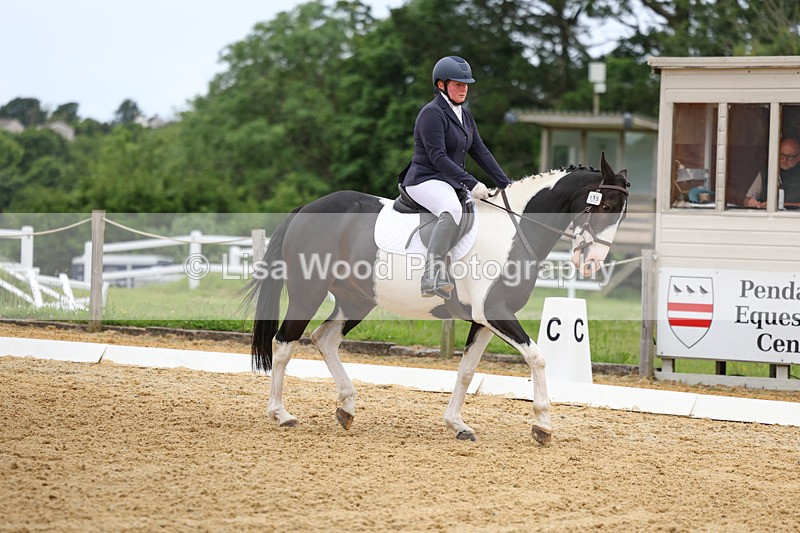 3E7A9343 - Class 2: Intro 1 2024 Section B