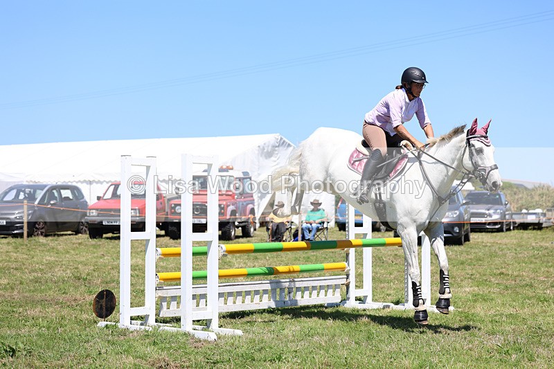 3E7A5643 - Class 9: Senior British Novice/90cm open