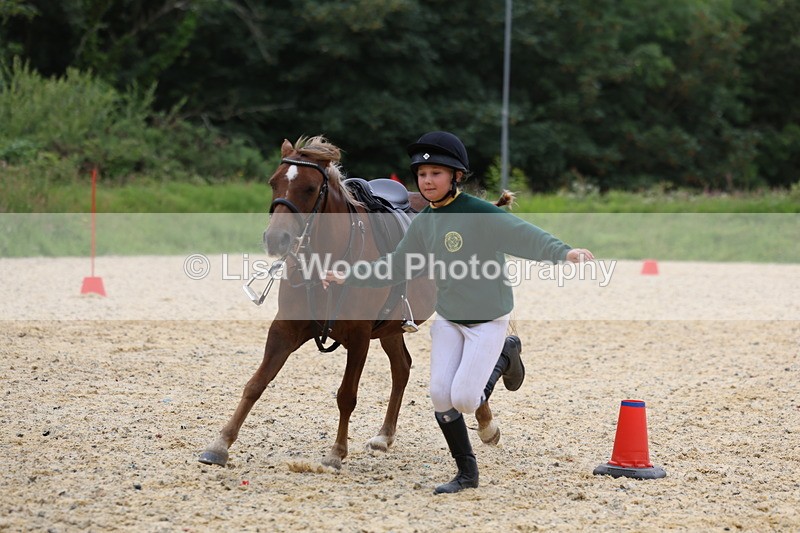 3E7A9612 - Walk trot run