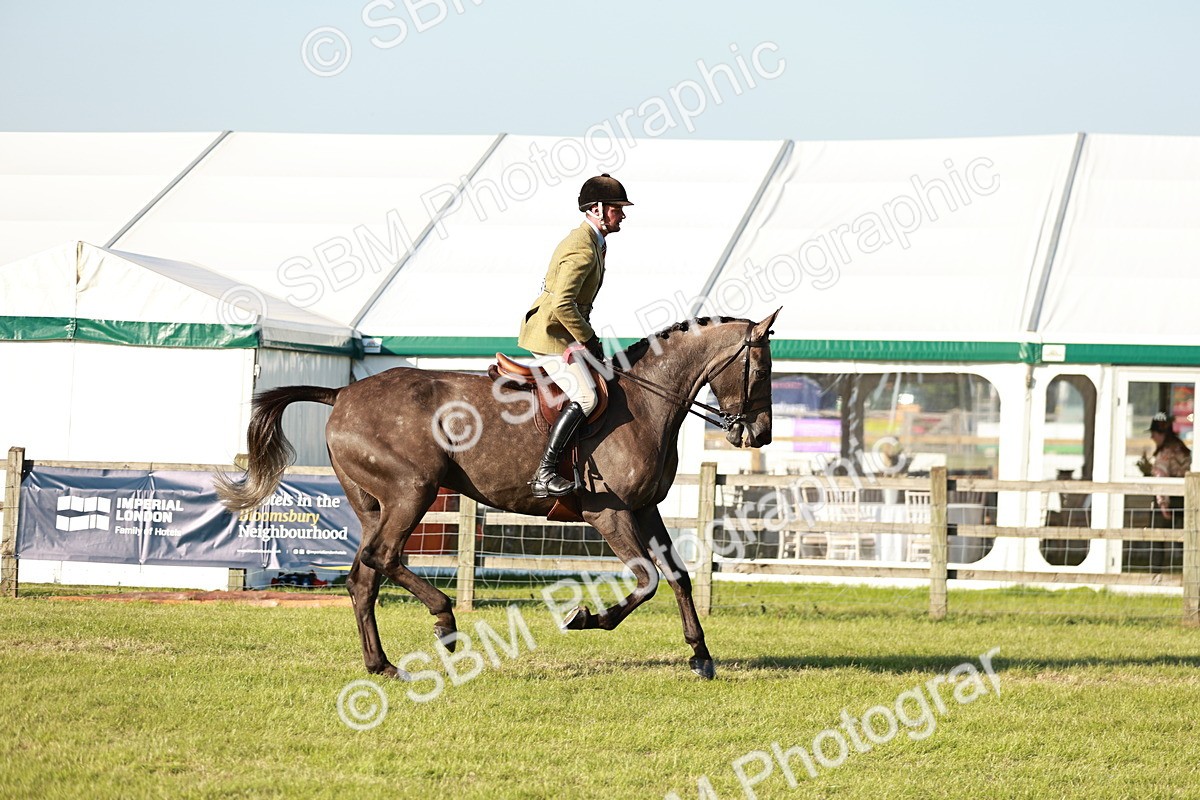 SBM_20179 - Class 117-119 - Sport Horse Working Hunter