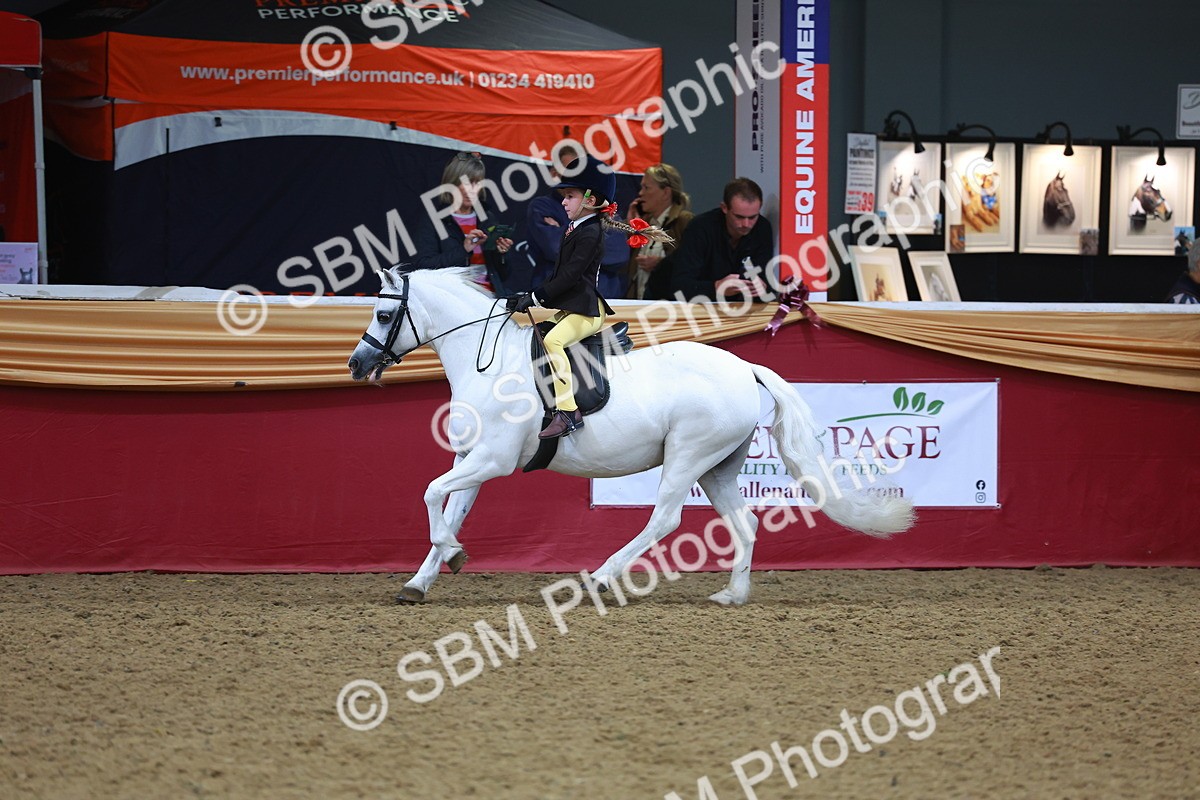 SBM_10701 - Class 103 - HOYS Veteran Qualifier - Ridden Pre Vet