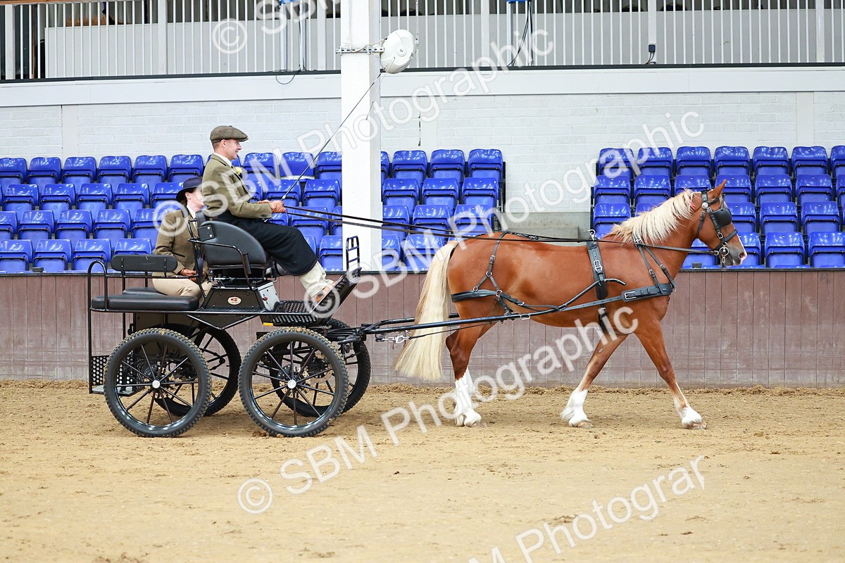 SBM_000617 - Class 11 - Peter Howell Memorial Gentlemen Whip