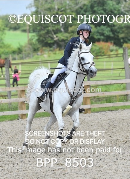 BPP_8503 - CLASS 17 SUN Pony Newcomers/ 1m Open