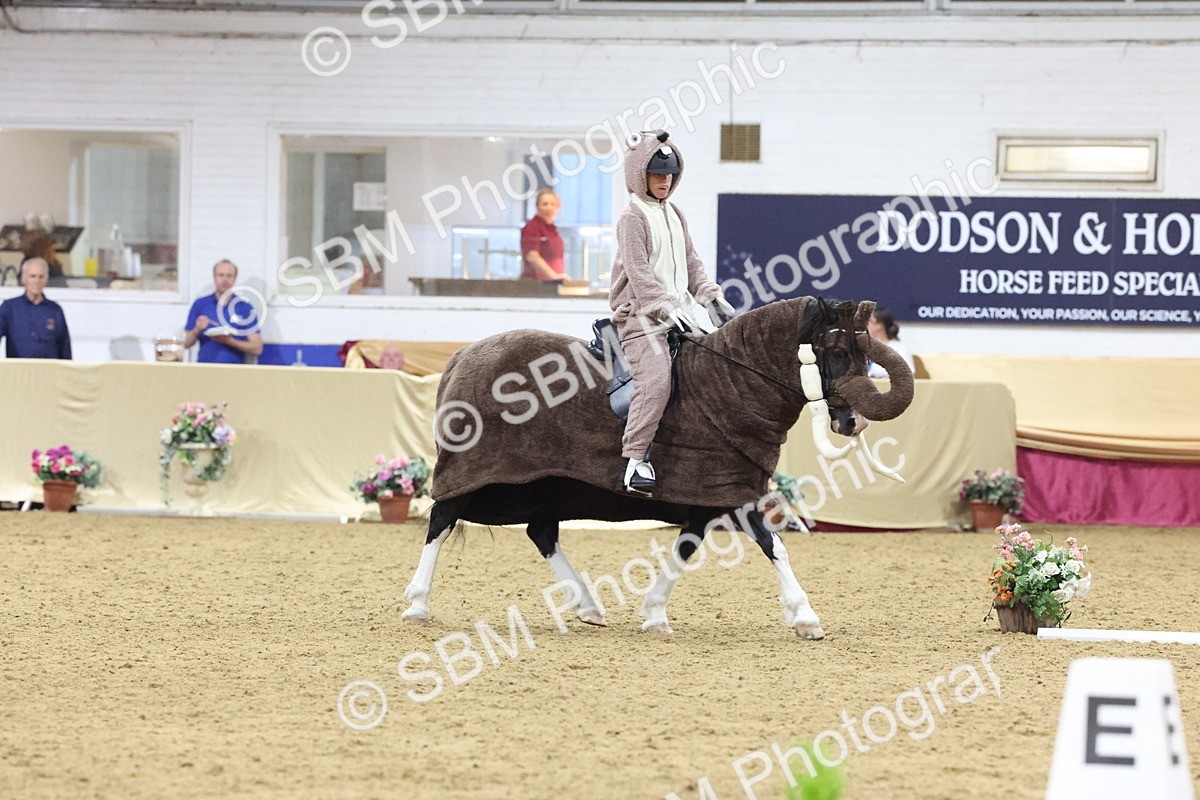SBM_09725 - Class 52 Strictly Fancy Dress-Age