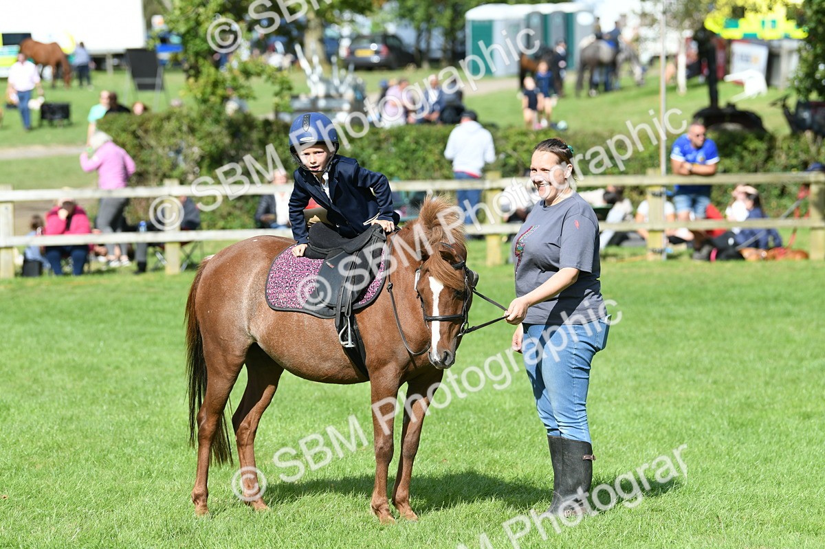 SBM_47157 - S12 - Family Horse & Pony