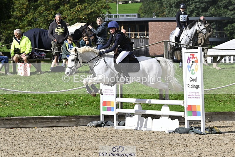 251005A-125424-03948 - Cls 08 Mini 70-75cm