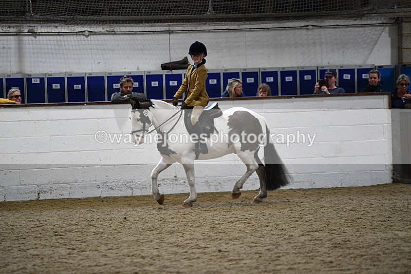 WJ5_7276 - Class 11 Ridden PC - RC Pony
