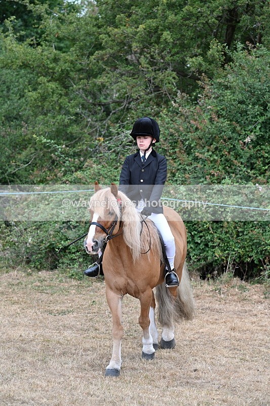 WJ7_7023 - Class 2 Best Rider