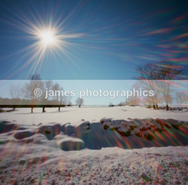 673243920011 - Pinhole Photography