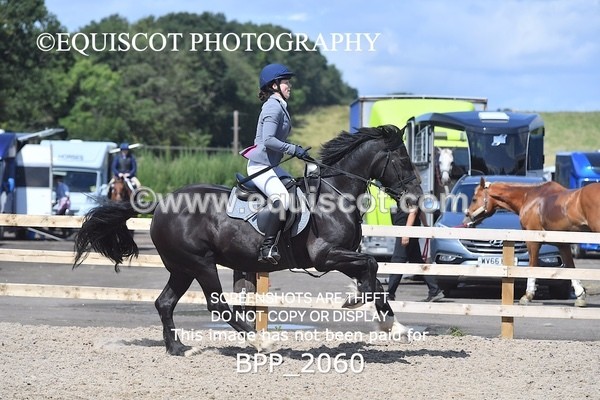 BPP_2060 - DERBY CLASS 6 - 70CM