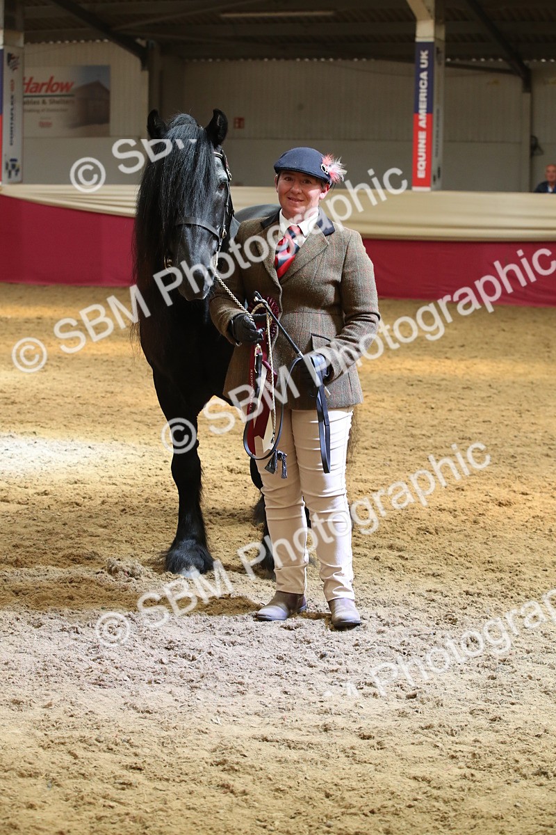 SBM_05420 - Class 8R - Regional IH Veteran