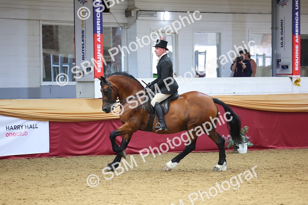SBM_24440 - Class 906 - Supreme Final - Ridden Pre Vet