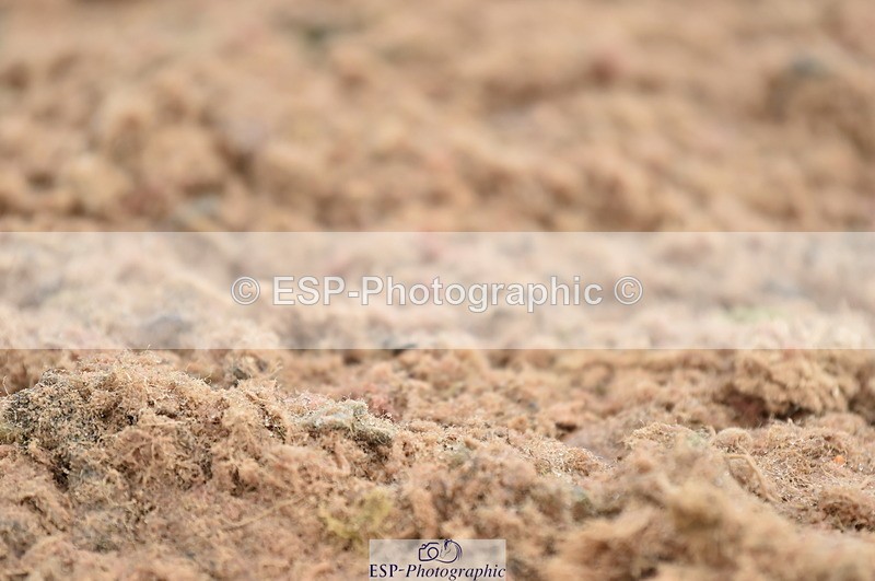 230630A-164820-03507 - Cls 4 Prelim 18