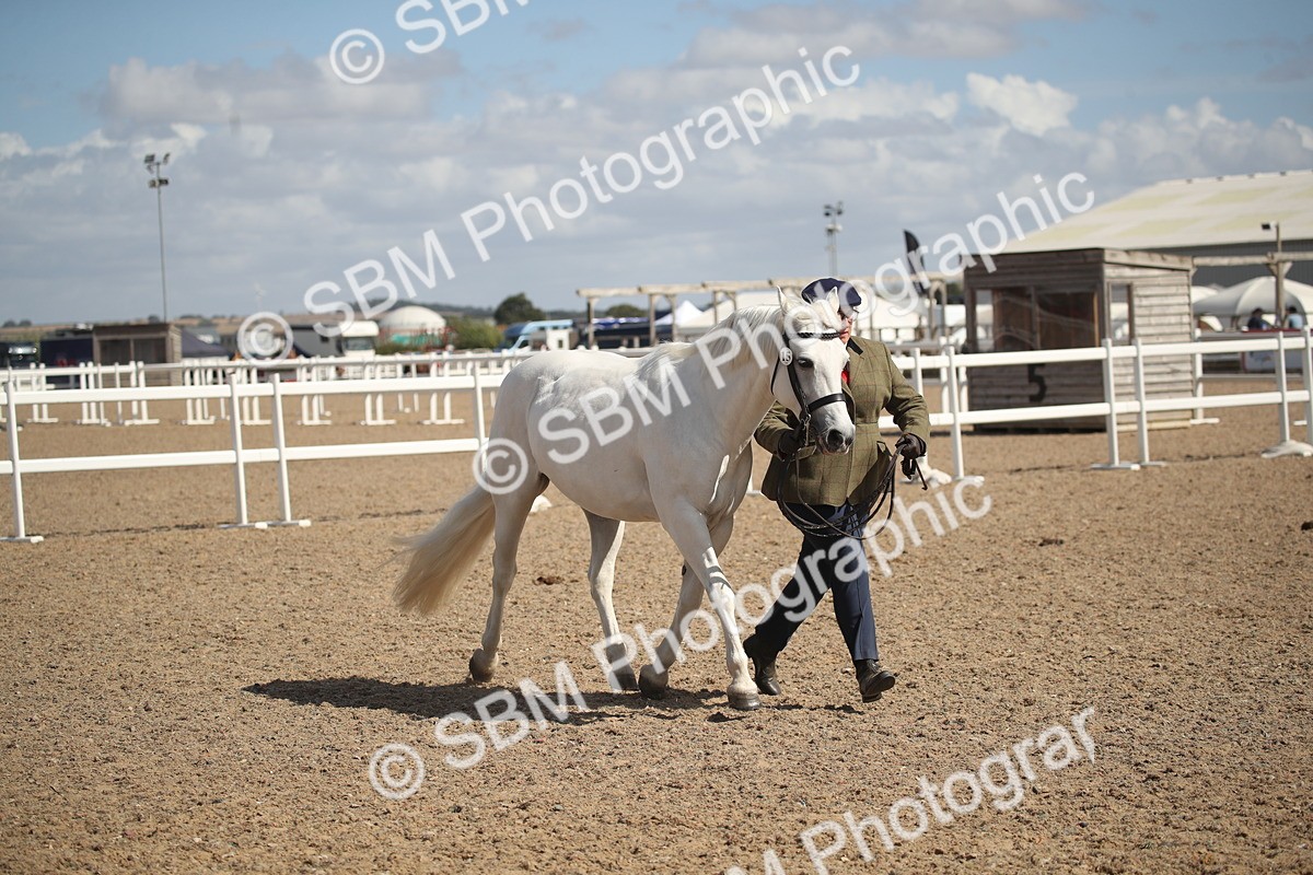 SBM_23134 - Class 606 - 2026 - Area - IH Pre Vet
