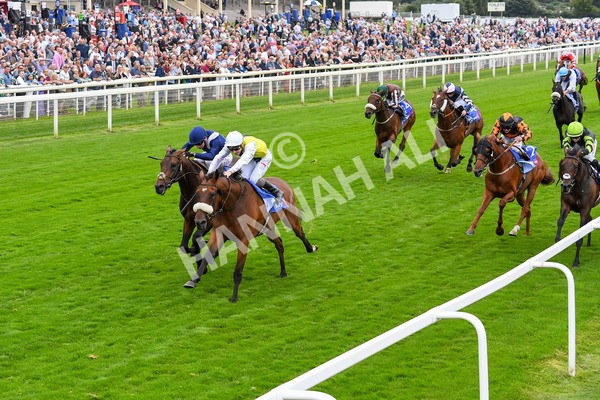 230823-Race 5-Forza Orta-0704 - Race 5 4.10pm Sky Bet Stayers Handicap