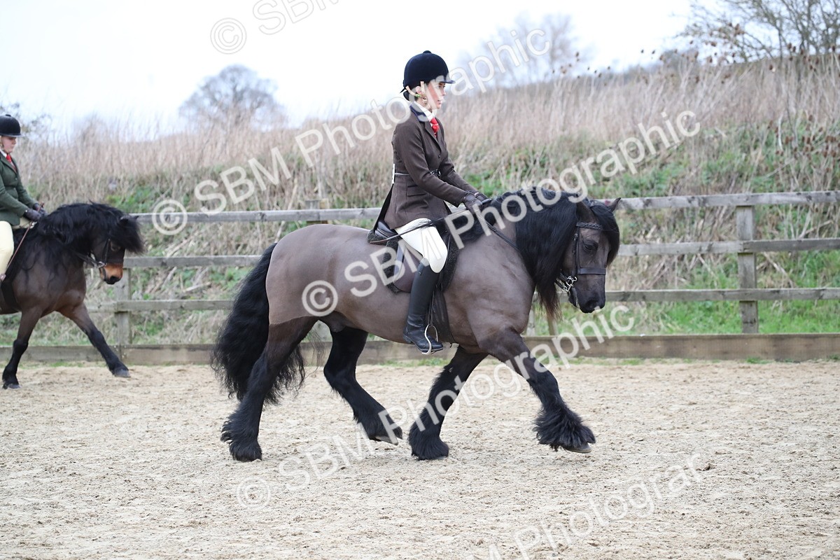 SBM_006319 - Class 10-13 - RIHS Small Large Breeds