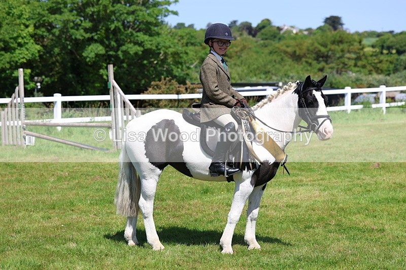 3E7A6824 - Working Hunter Pony Championship