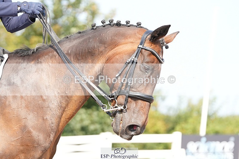 250817-110130-08205 - 152-Jessica.AinsworthDeano