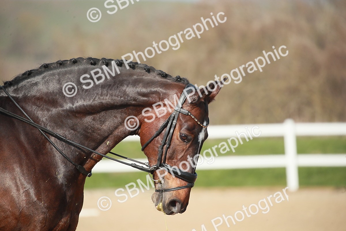 SBM_008594 - Class 24 - Advanced medium 5