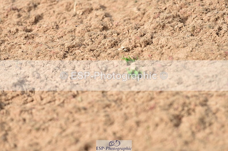 230810A-101502-00250 - Cls 8 British Novice & 90cm Open