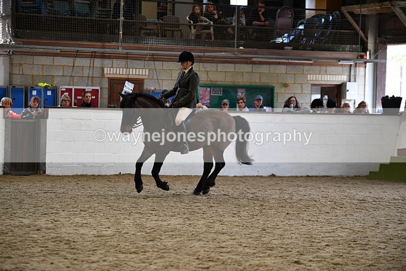 WJ5_6182 - Class 9 Ridden Veteran