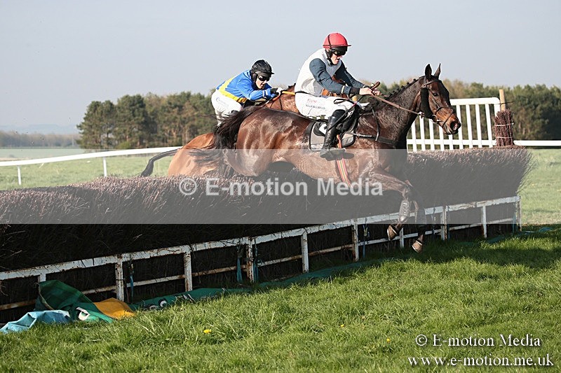 PtP 210418 637 - South & West Wilts Point-to-Point Larkhill 21/04/18