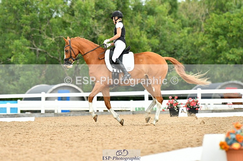 230702A-111911-08670 - Cls 26 Novice 37A