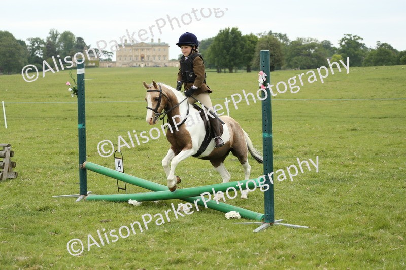 20250517-0418 - Class 20 - Beginners Working Hunter