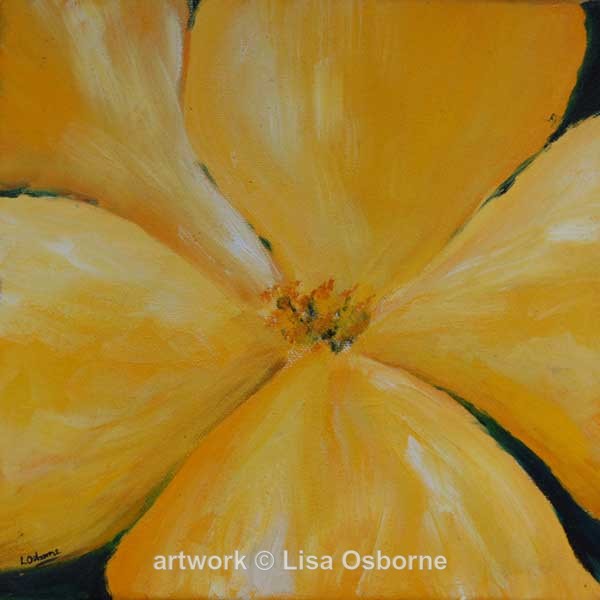 Yellow Mullein
