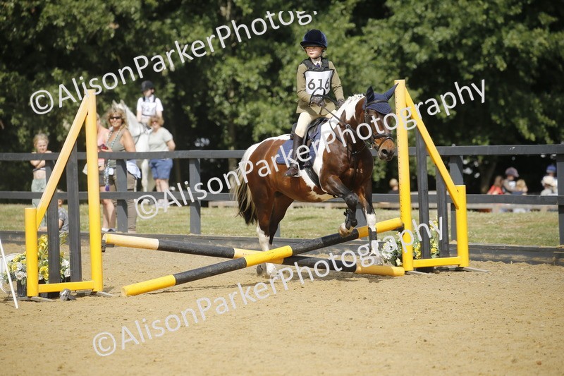 20250622-3779 - 50cm