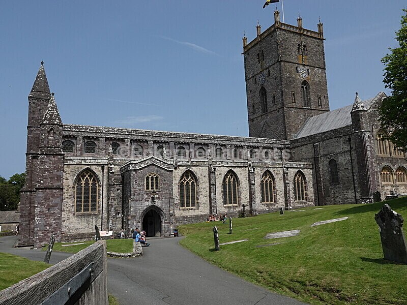DSC00447 - Skomer 2019