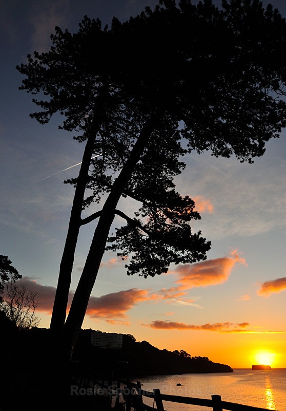 Meadfoot sunrise portrait - Portrait Views