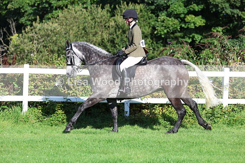 3E7A7615 - Class 1: Novice Working Hunter Pony