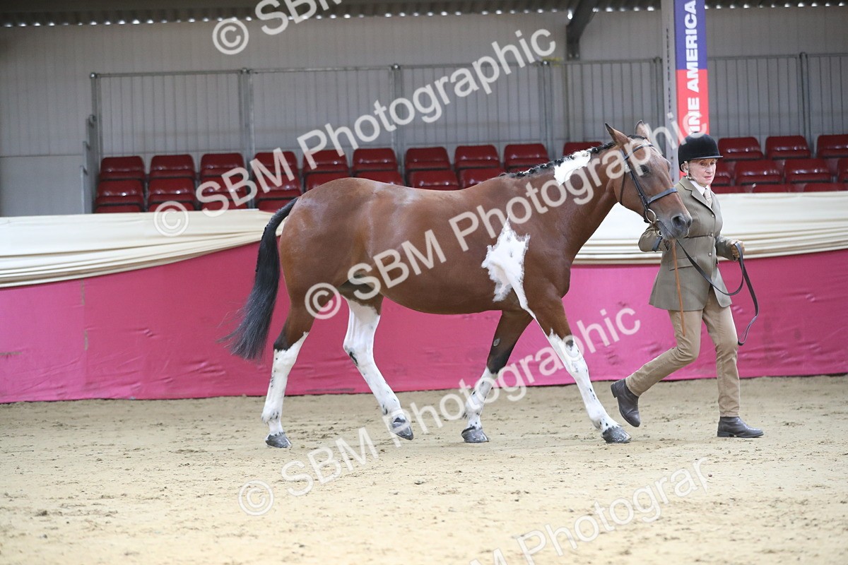 SBM_01308 - Class 3a Area IH Pre Vet