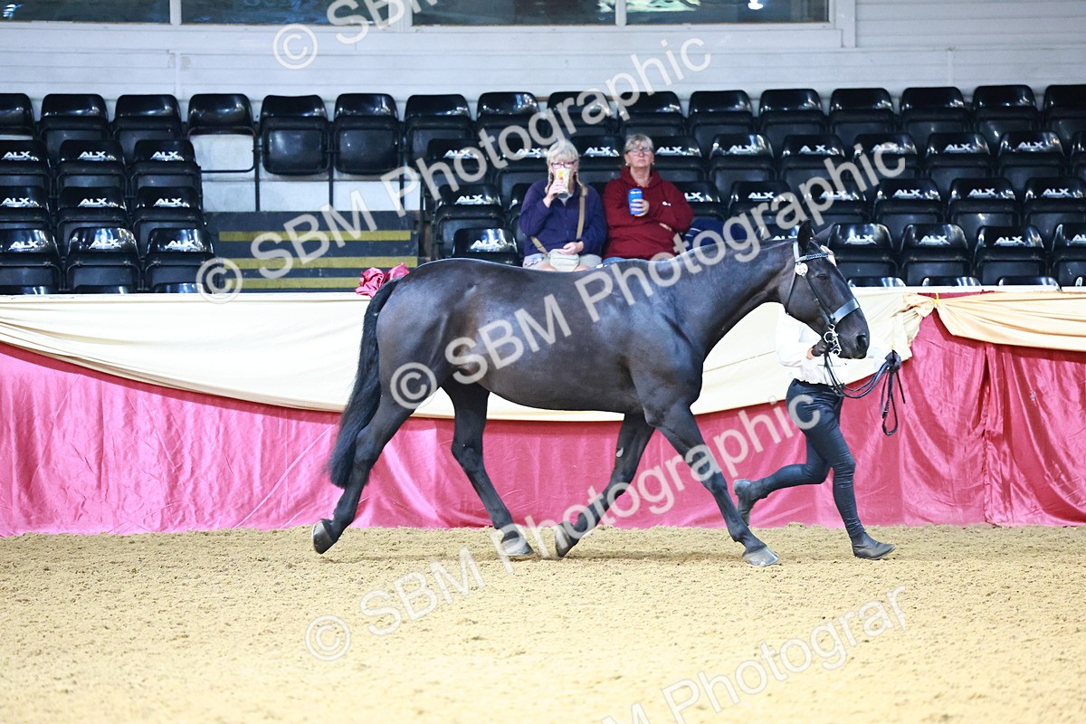 SBM_21679 - Class 901 - Supreme Final - IH  Diamond