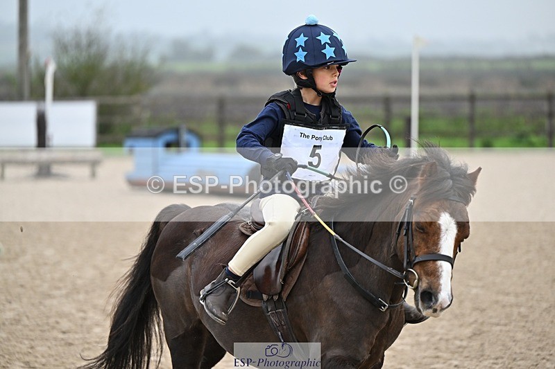 241110-093952-00045 - 40cm Showjumping