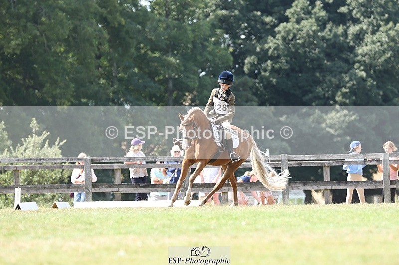 250823A-135552-31396 - Arena D