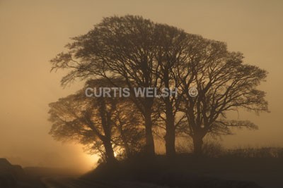 43 - SCOTTISH BORDERS