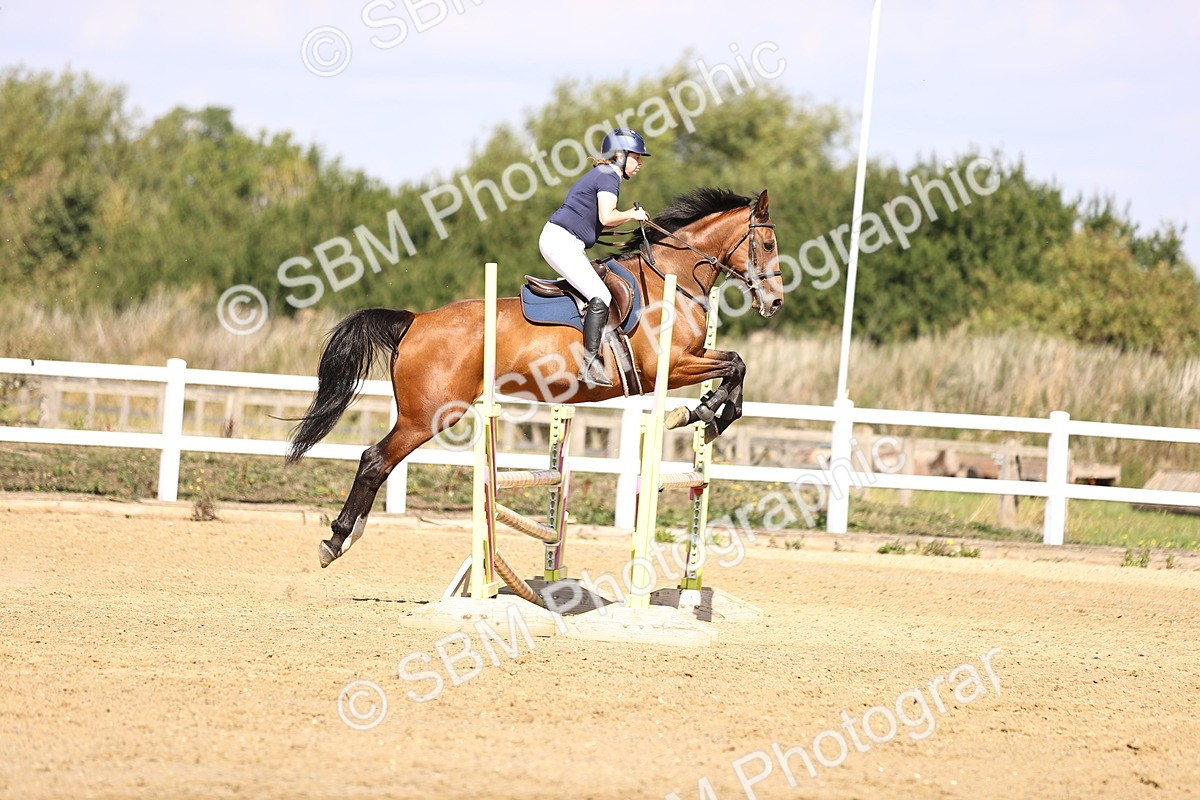 SBM_005902 - Class 9 - Senior British Novice - 90cm