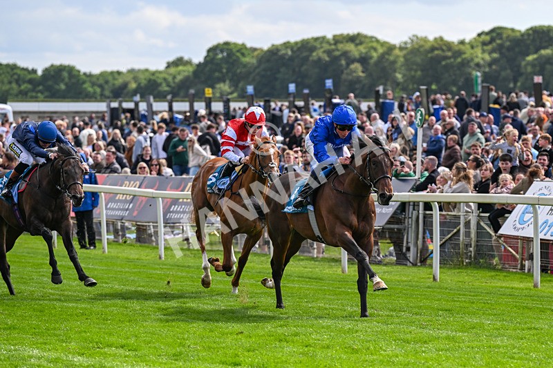130626-Race 5-Inner City Blues-0585 - Race 5 16.15pm Tomahawk Restaurants Supporting Macmillan EBF Maiden Stakes