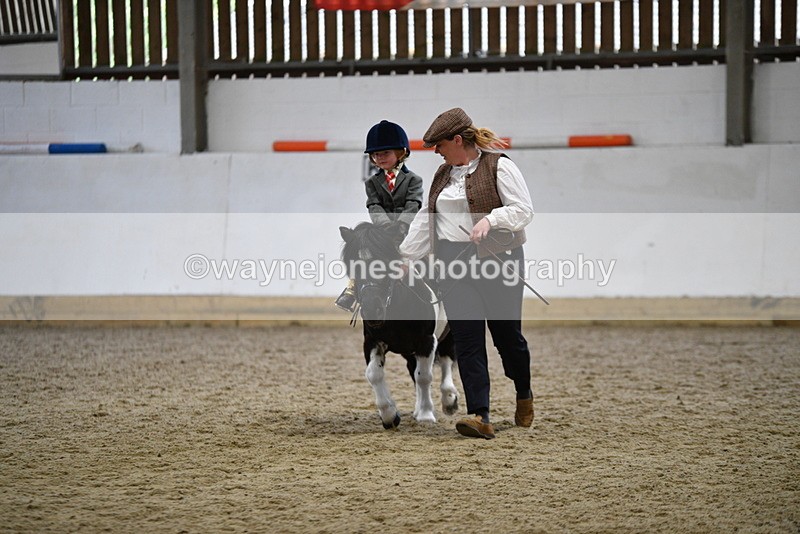 WJ5_6669 - Class 10 Childs Pony