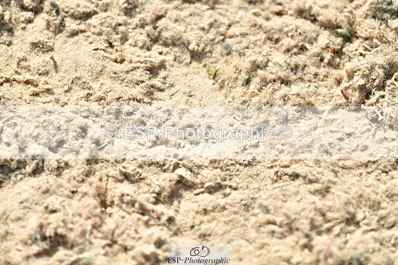 230721A-104817-05299 - Cls 30, 6 Yr Olds 1.20m