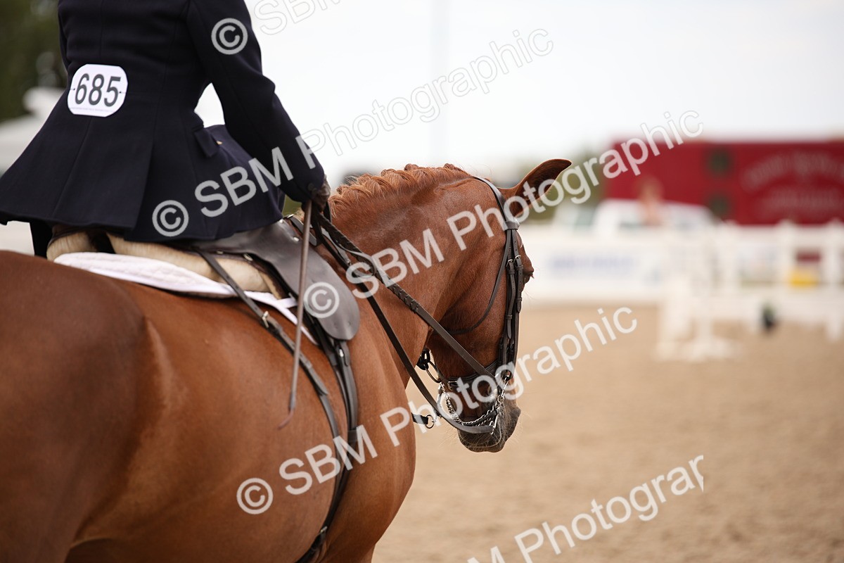 SBM_05471 - Class 22 SSA Equitation