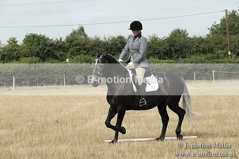 _PJP5627 - Dressage Classes BVRC Show 2018