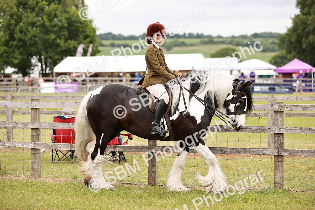SBM_06083 - Class 39-41 TGCA In Hand and Ridden