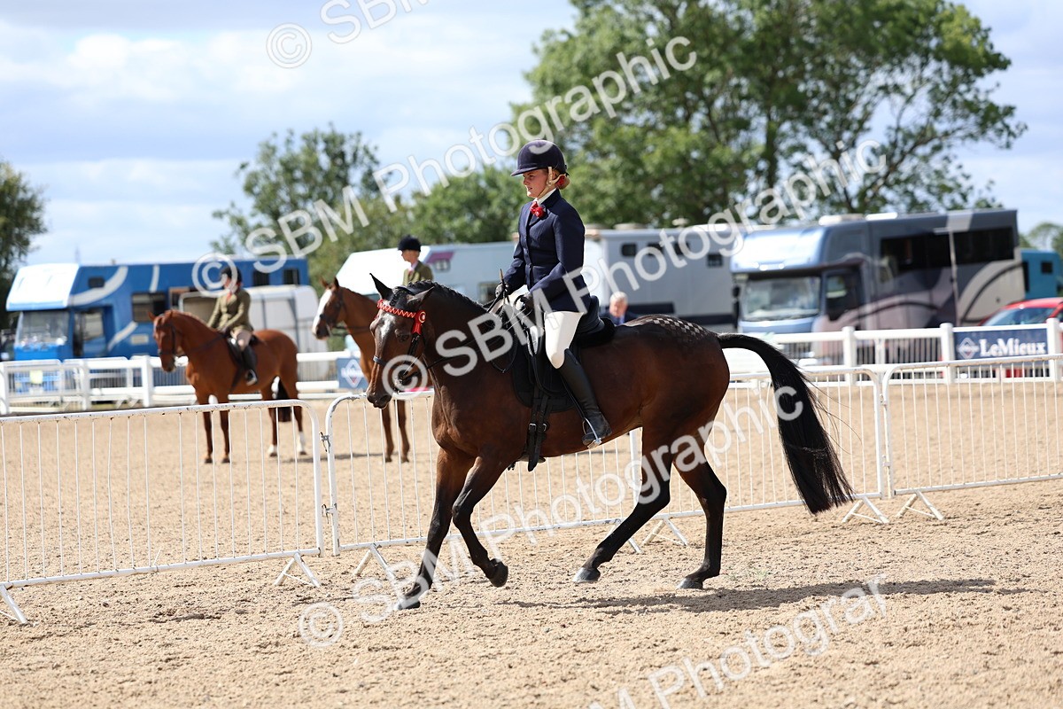 SBM_13284 - Class 311 - Ridden Show Pony Show Hunter Pony