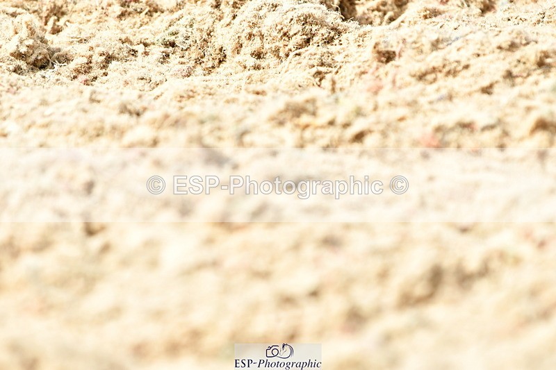 230702A-155627-11059 - Cls 37 + 42 FEI PSG + GP