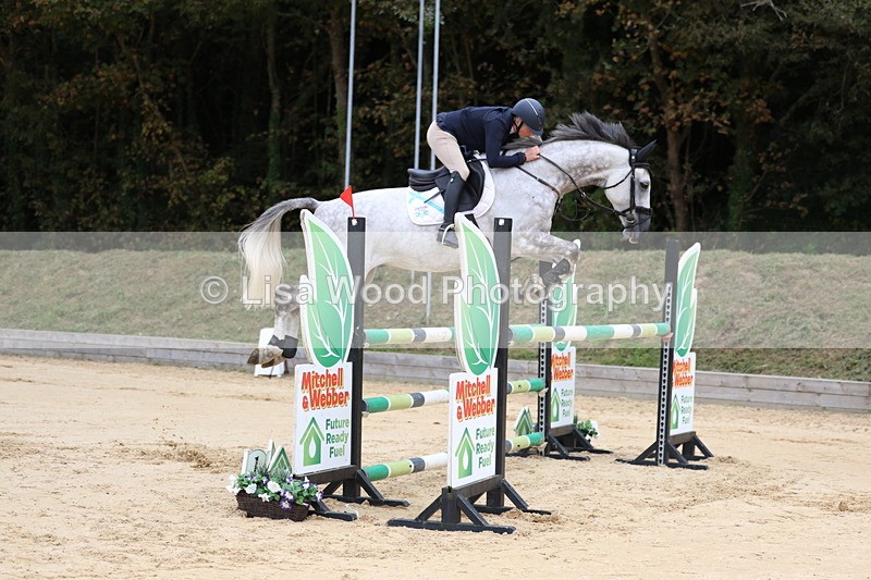 3E7A3310 - Class 9: Senior Foxhunter/1.20 open